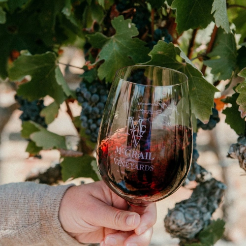 Hand holding a glass of Cabernet Sauvignon among vineyard grapevines at McGrail Vineyards Cabernet Celebration.