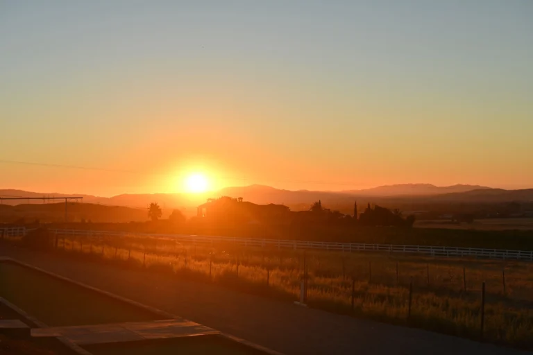 Golden Bay Area sunset over vineyard hills near McGrail Vineyards.