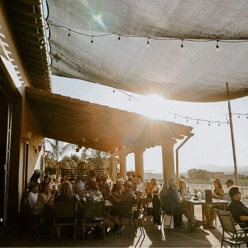 Guests enjoying wine and conversation on the shaded outdoor terrace overlooking the vineyards at McGrail Vineyards.