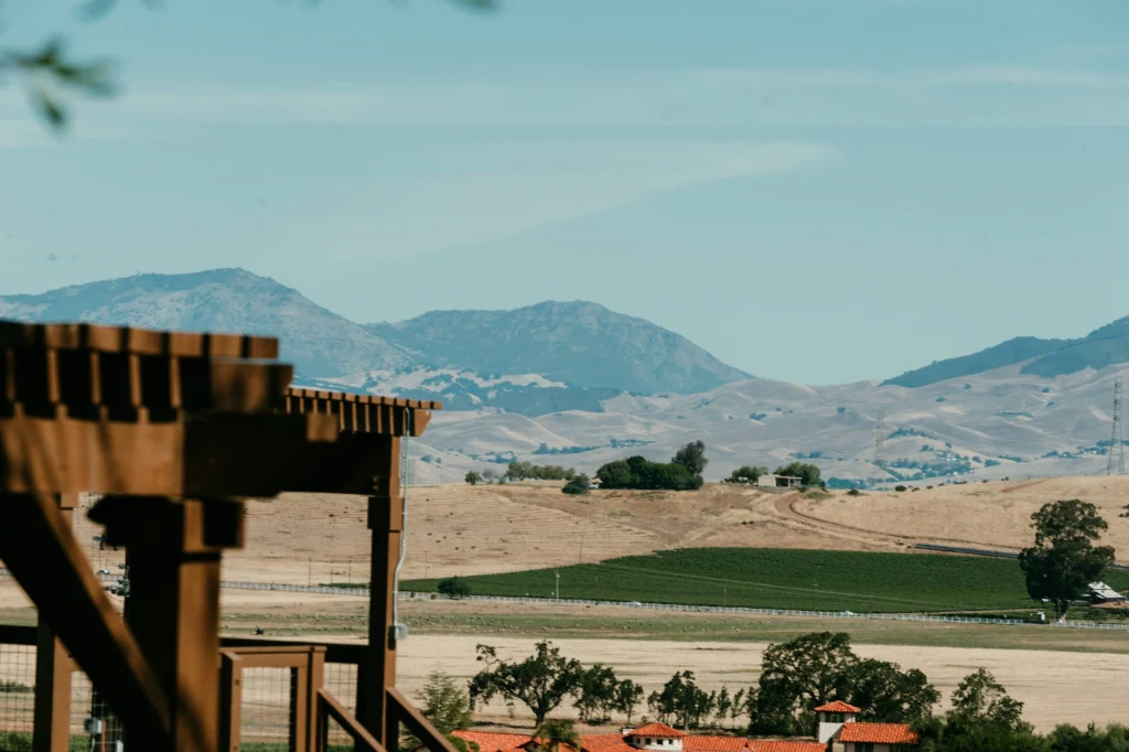 Livermore Valley vineyard hills viewed from McGrail Vineyards' outdoor tasting patio on a sunny afternoon.