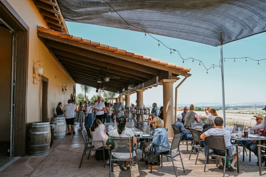 Guests enjoying wine tasting on a shaded vineyard patio with valley views and string lighting.