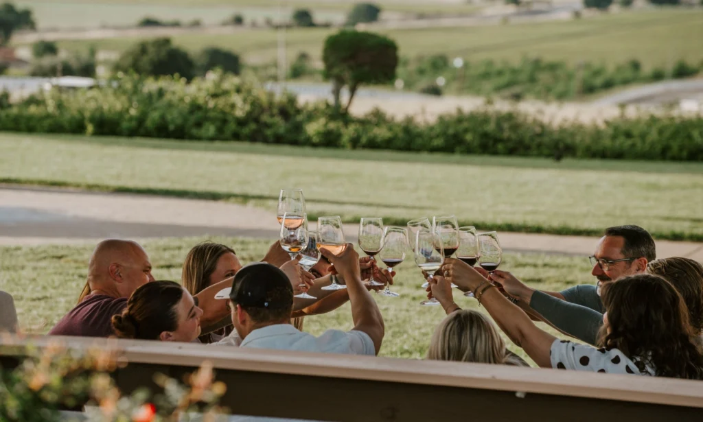People toasting with wine glasses on a terrace overlooking vineyard landscapes.