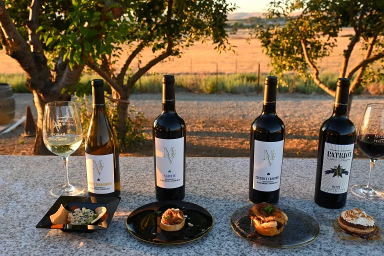 Wine bottles and plated appetizers arranged for a tasting with vineyard views at sunset.